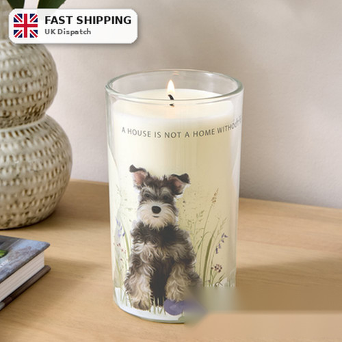 Haloween candle schnauzer - haloween,