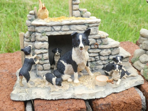 Border fine arts collie - fine,