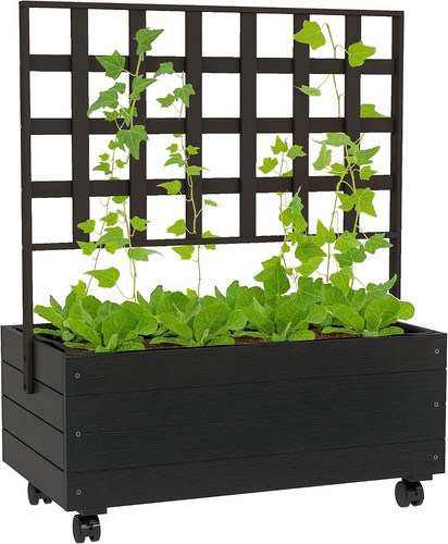 Raised garden bed - raised, trellis