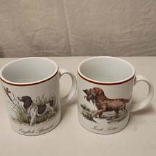 Vintage English Spaniel  Irish