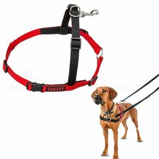 Halti Non Pull Dog Padded