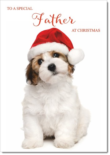 Doodlecards father christmas - doodlecards,