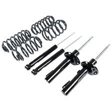 Racingline Spring and Damper