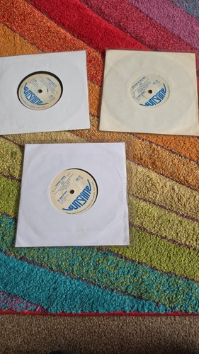 Abba x rhodesia sunshine - rhodesia,