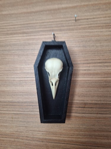 Wall mounted carrion crow - mounted,