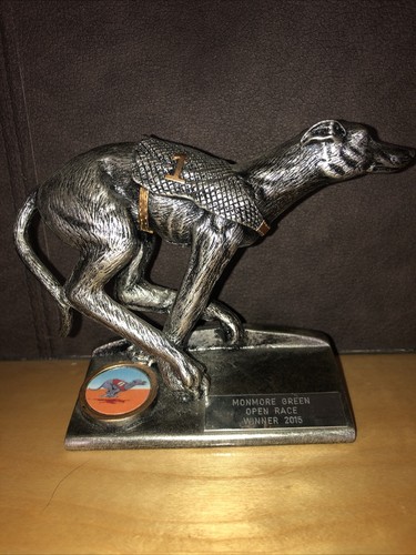 Greyhound racing open - , race