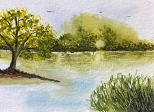 Original Watercolour