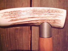 walking stick Elk Antler