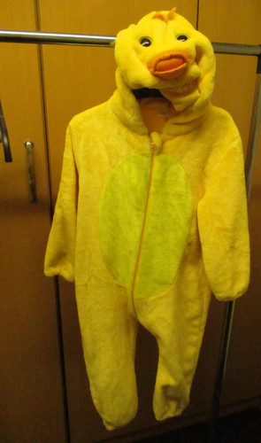 Duck costume party wear - duck, wear,
