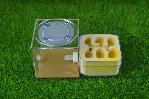 Natural acrylic ant farm - acrylic,
