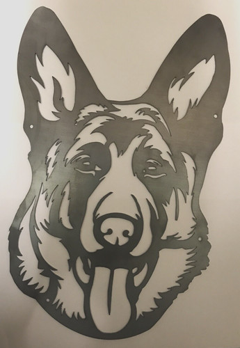 German shepherd alsatian - shepherd,