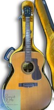Kasuga 100 vintage acoustic - kasuga,