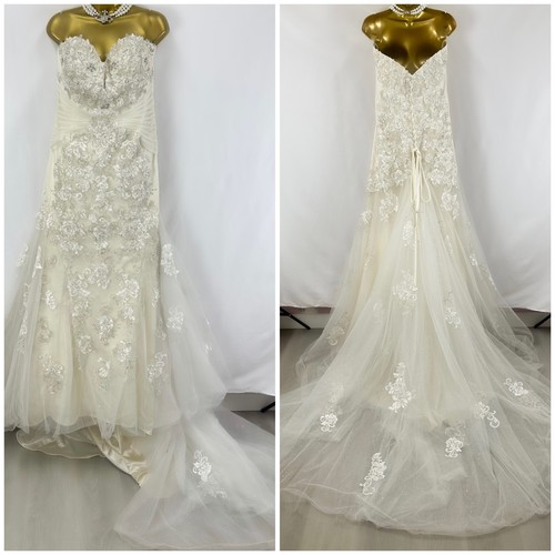 Nwot sophia tolli - sophia,