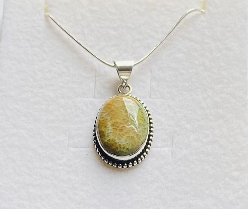 Stunning fossil coral oval - fossil,