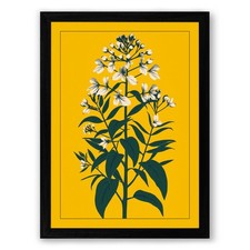 Botanical Study Botanical