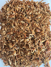 Fresh Oron Crayfish - Dry, Cleaned & Tasty (250g)
