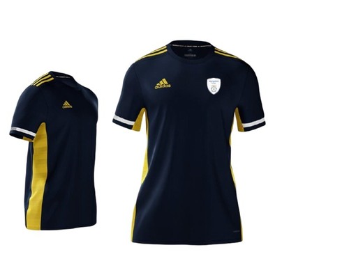 Hampshire cricket players - hampshire,