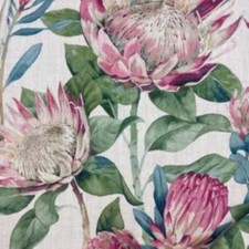Sanderson, King Protea - Rhodera  Curtain Fabric, Material 100% Cotton 