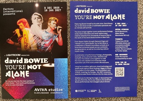 Rare david bowie - rare,