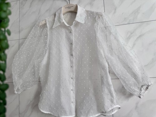 Zara white sheer polka dot - polka,