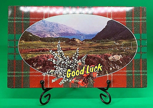 Vintage biscuit tin - biscuit,