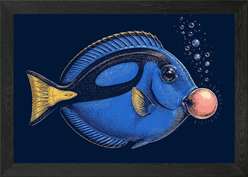 Blue tang fish blowing - blue,