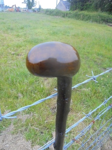 Irish blackthorn shillelagh - irish,