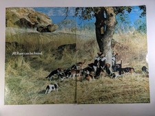 J And B Rare Whisky 1980 Original Paper Magazine Advert Hounds