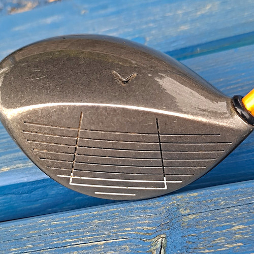 Callaway big bertha war - war, bird