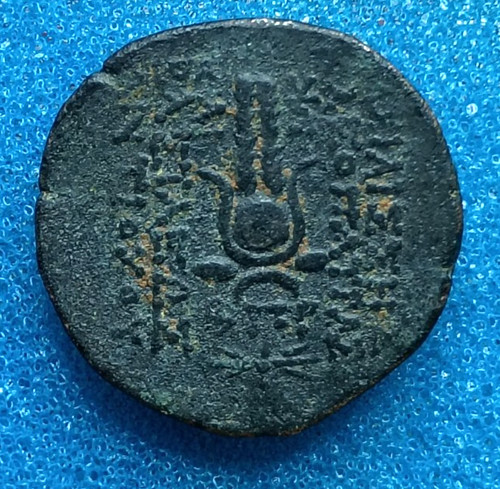 Seleucid cleopatra thea - seleucid,