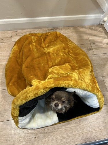Luxury faux fur gold snuggle - luxury,