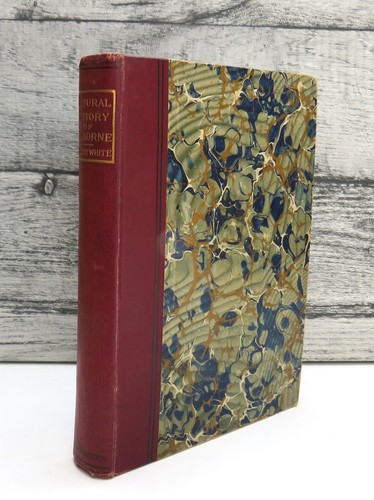 The natural history - history, of