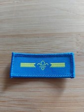 Scouting current assistant - uk,