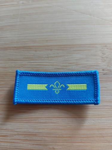 Scouting current assistant - uk,