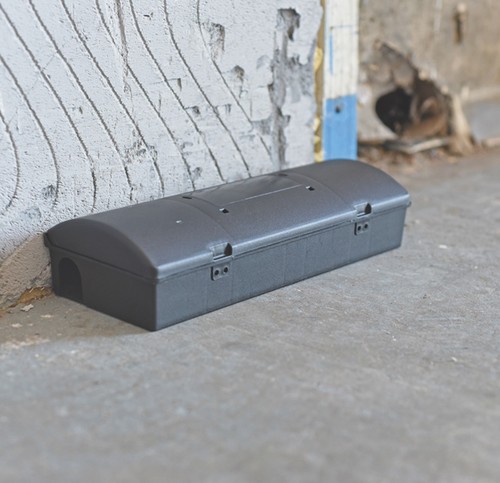 Box ranger indoor - 10,