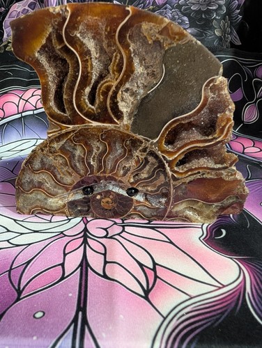 Ammonite crystal carving pet - crystal,