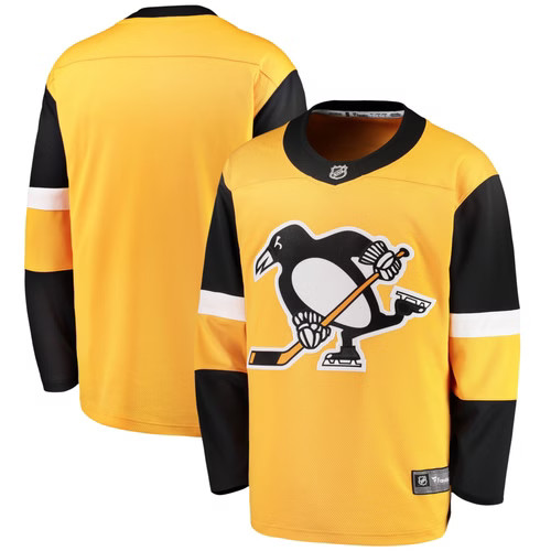 Pittsburgh penguins nhl ice - pittsburgh,