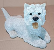 A West Highland Terrier