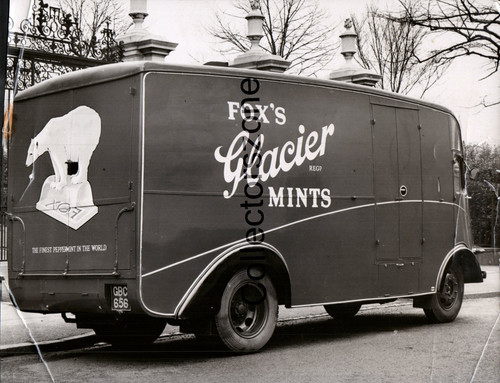 1950 fox glacier mints - 1950's,