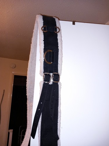 Lunging roller for horse - for,