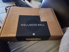 TECHNOGYM WELLNESS BALL