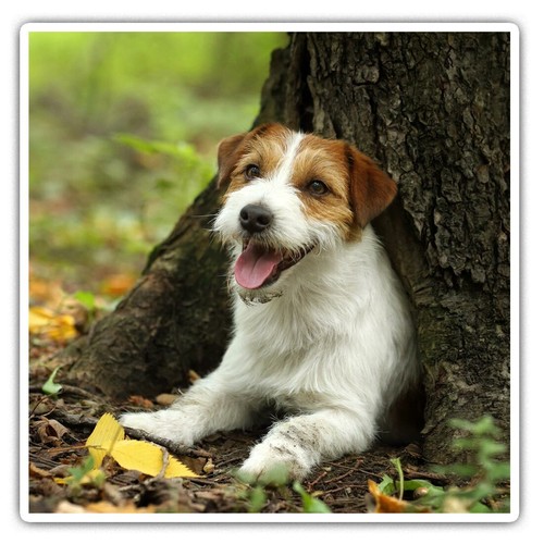 Square stickers cm - square,