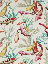 Manuel Canovas Salina Fish