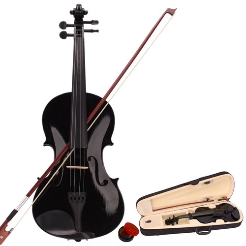Violin adult acoustic - adult,