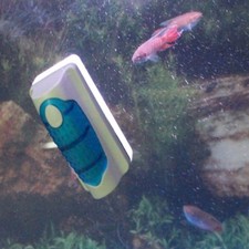 Floating Magnetic Algae