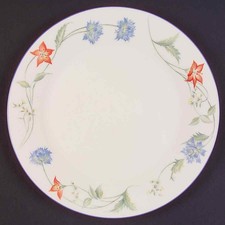 Royal Doulton Summer Carnival Salad Plate 563906