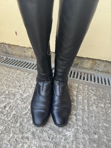 Ariat palisade show womens - show,