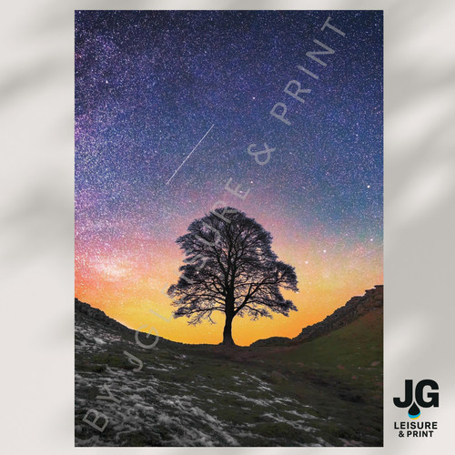 Sycamore gap picture wall - wall, art