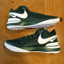 Men’s Nike Zoom LeBron NXXT