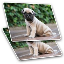 2 x Rectangle Stickers 10 cm -